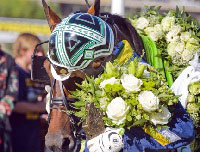 Vinnare Elitloppet 2010