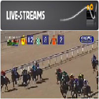 Live streams Racebets