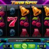 Twin Spin