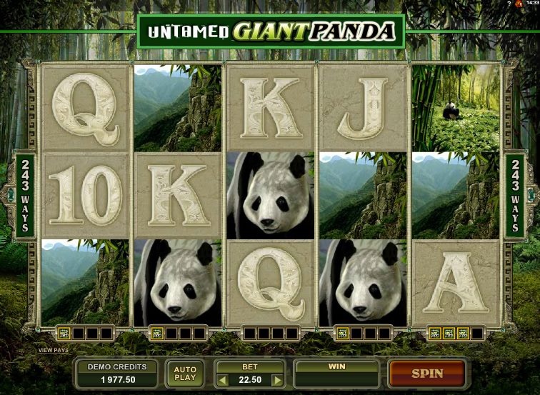 Untamed Giant Panda